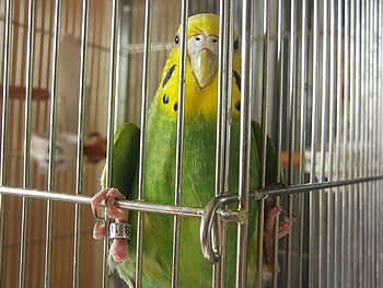 f0196665_0101100.jpg