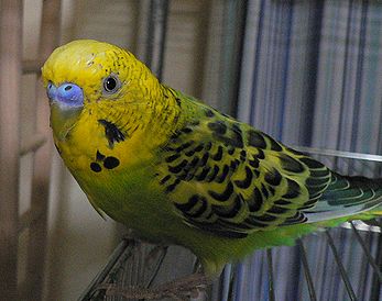 f0196665_043127.jpg