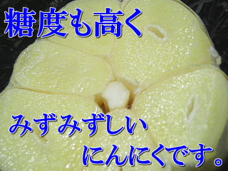 c0177968_1491190.jpg