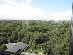 f0016868_22361442.jpg