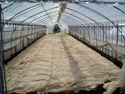 e0097770_15225589.jpg