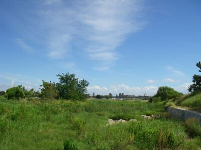 e0143671_12184357.jpg