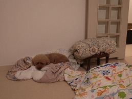 f0030875_00518.jpg