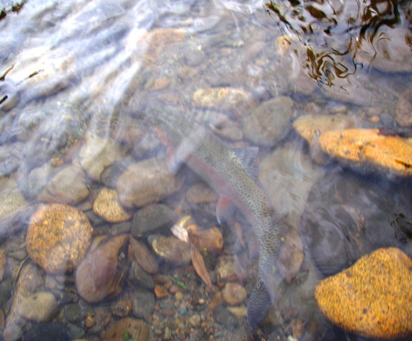 a0169776_2218576.jpg