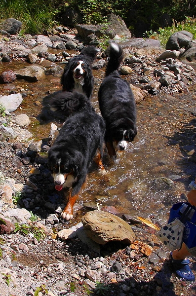 c0149178_14485279.jpg