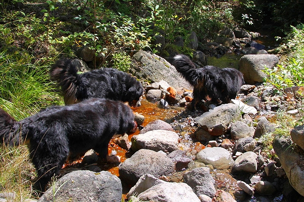 c0149178_14562570.jpg