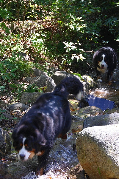c0149178_14581147.jpg