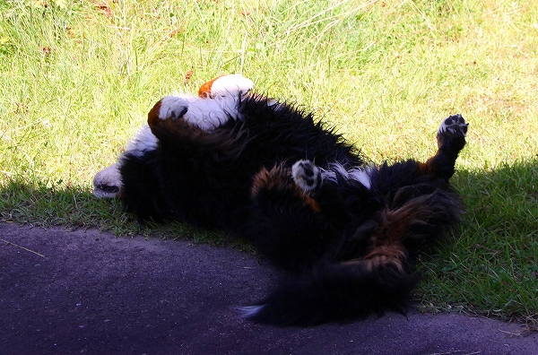 c0149178_1573779.jpg