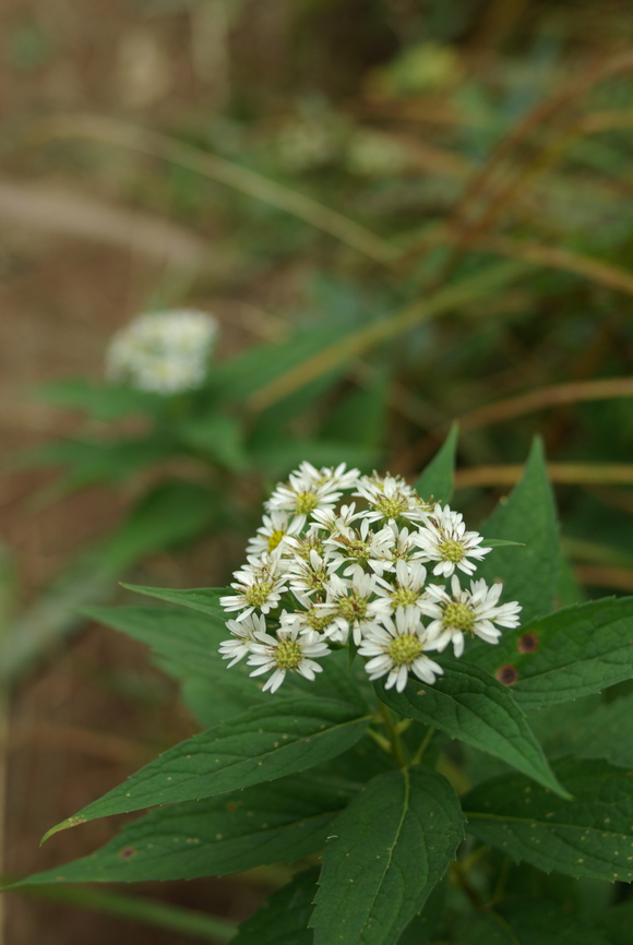 a0094280_2211133.jpg
