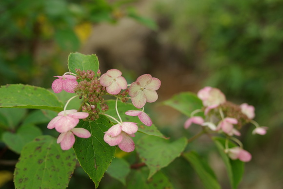 a0094280_2245530.jpg