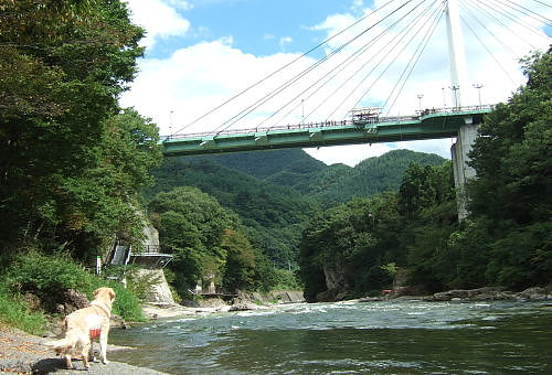 b0136381_21332156.jpg