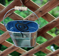 b0090883_21531186.gif