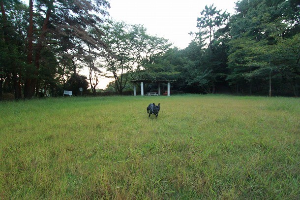 f0238184_122534.jpg