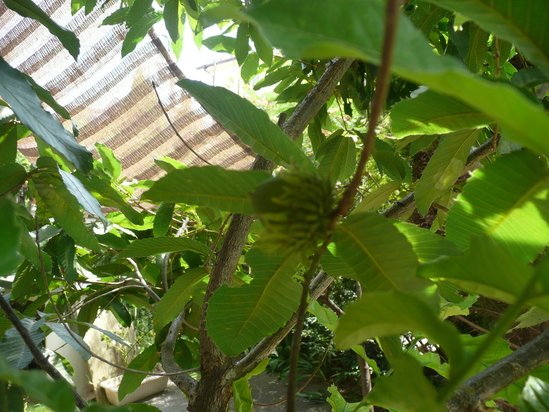 b0122485_14442831.jpg
