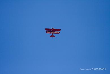e0148185_202676.jpg
