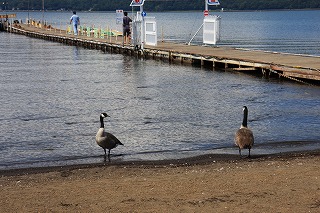 e0121589_2221232.jpg