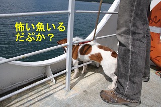 e0121589_22341626.jpg