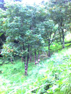 b0064395_19451882.jpg