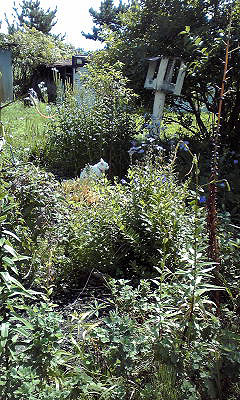 c0206596_19443178.jpg