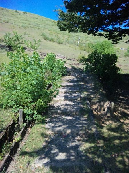 e0180099_16545655.jpg