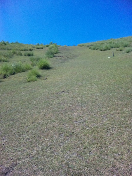 e0180099_16574976.jpg