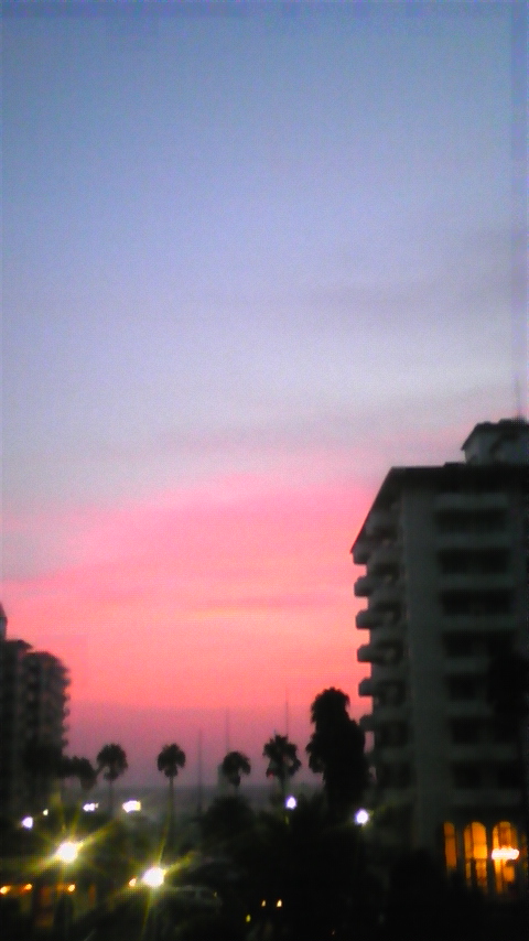 d0087101_18294675.jpg