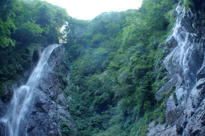e0125305_171391.jpg