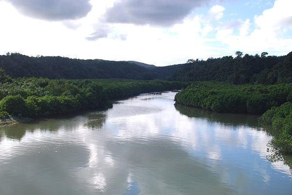 d0089706_9551834.jpg