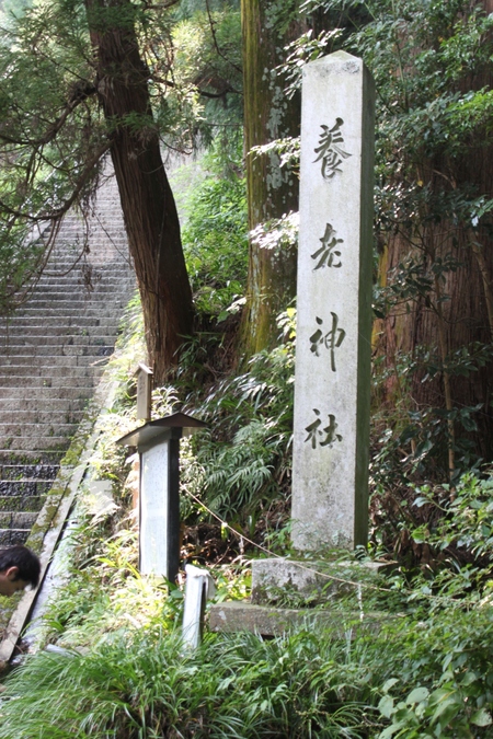 a0147507_21551725.jpg