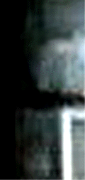 e0103408_1323350.gif