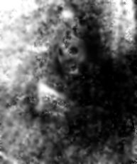 e0103408_18565861.gif
