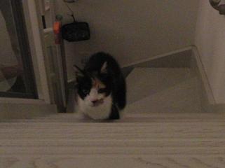 c0201113_21575755.jpg