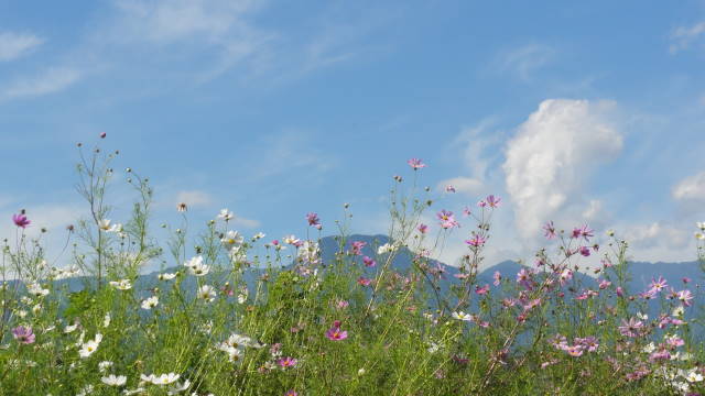 f0233414_20353425.jpg