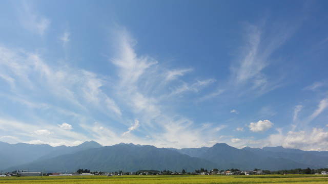 f0233414_20393066.jpg