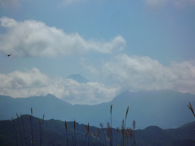 d0170615_9545442.jpg