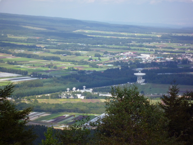 d0170615_9555199.jpg