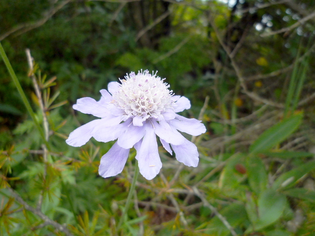 d0170615_9574329.jpg