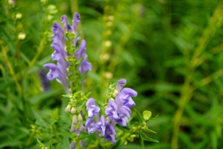 b0209919_2314594.jpg