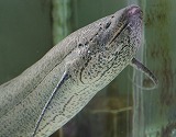 c0166720_1746147.jpg