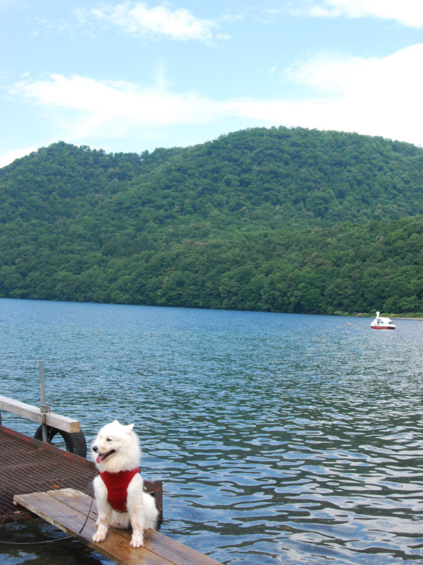 b0146024_2115977.jpg