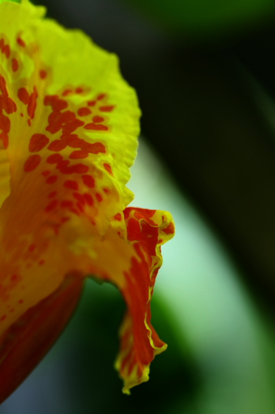 b0042527_2174799.jpg