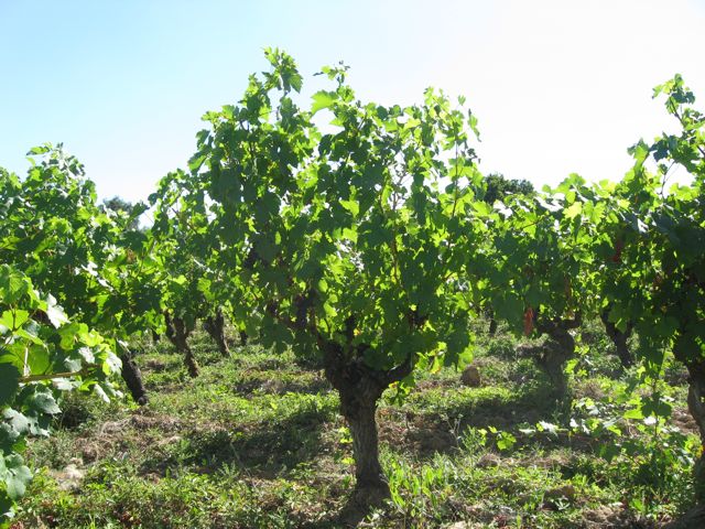 c0188527_613460.jpg