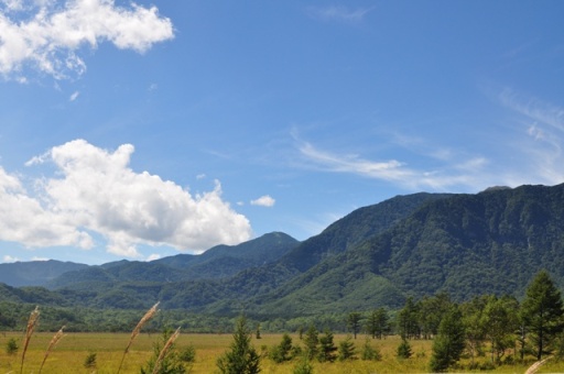b0141931_223041100.jpg