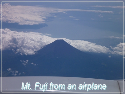 d0140133_10405517.jpg