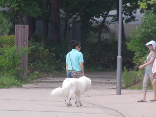 f0002833_2332893.jpg