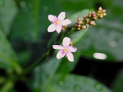 a0017634_21232940.jpg