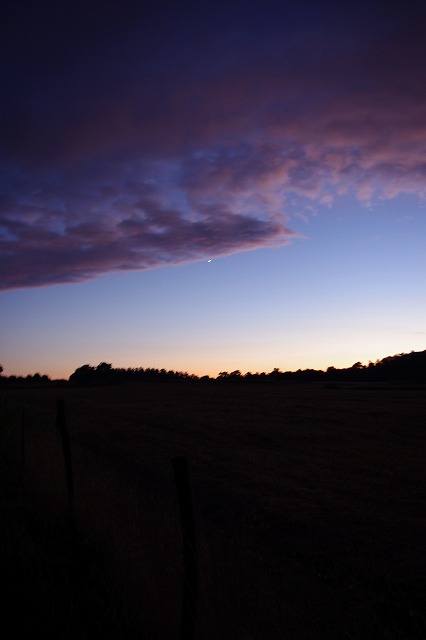 d0092439_628125.jpg