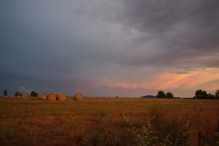 d0092439_6285996.jpg
