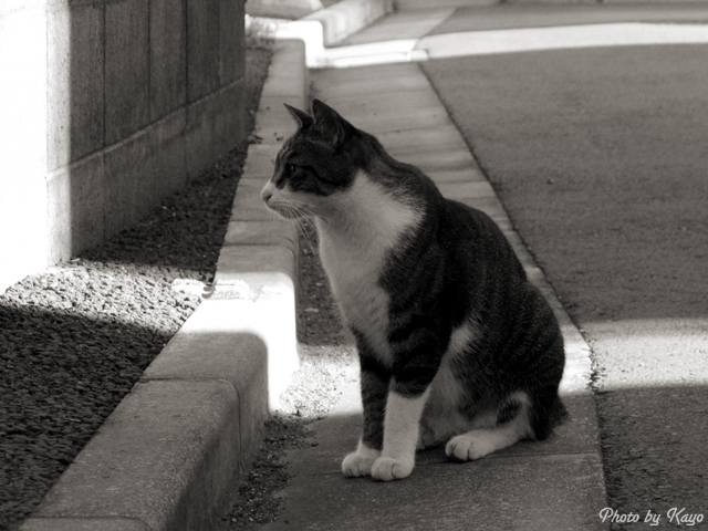 a0117440_6232026.jpg