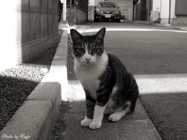 a0117440_625310.jpg